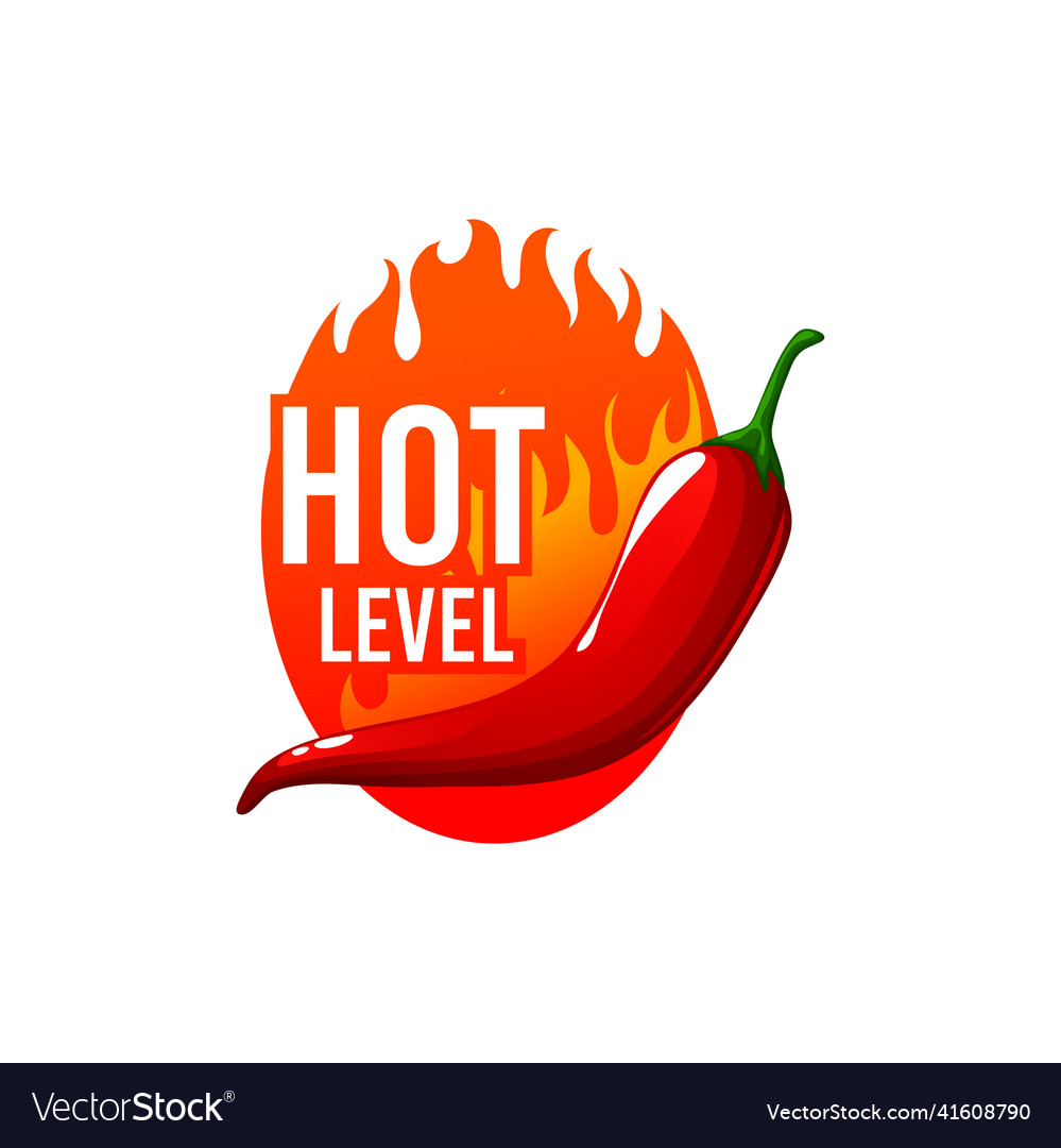 Spicy food label orange fire flame cartoon sticker vector image Spicy food label orange fire flame cartoon sticker