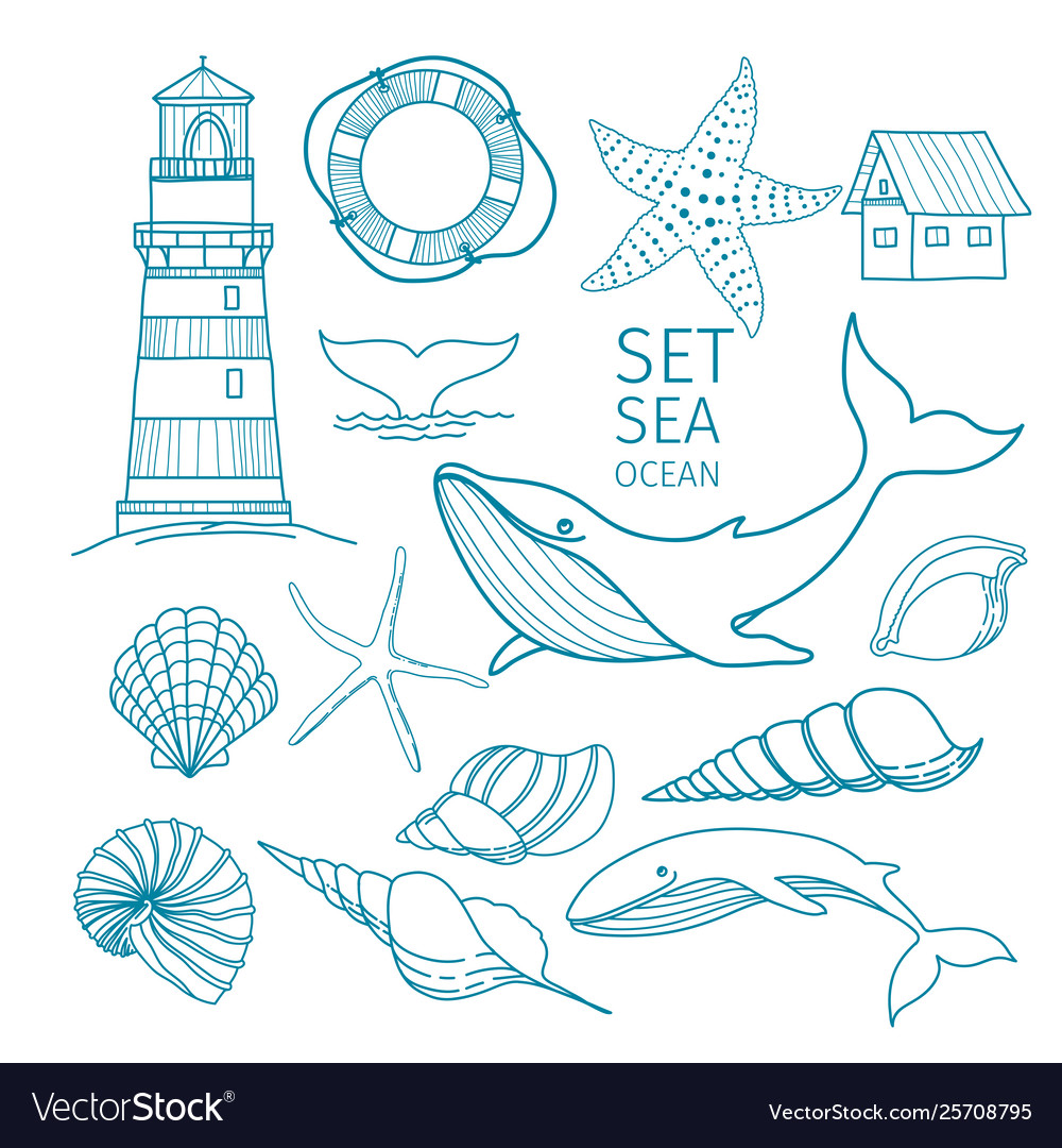 Set marine objects - shells whale tail