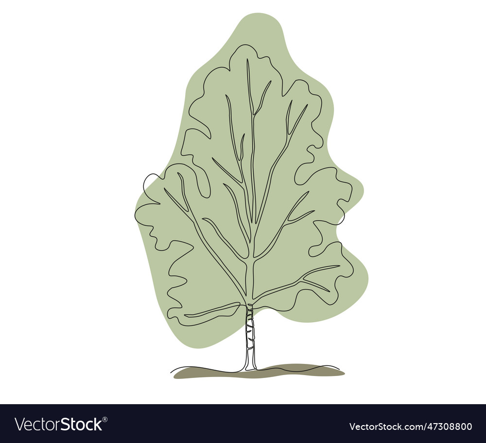 Abstract birch tree continuous one line drawing vector image Abstract birch tree continuous one line drawing