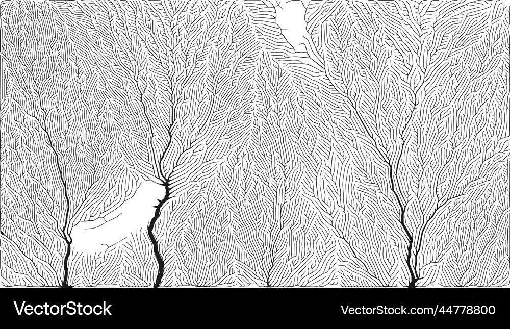 Growth pattern generative branching structure Vector Image