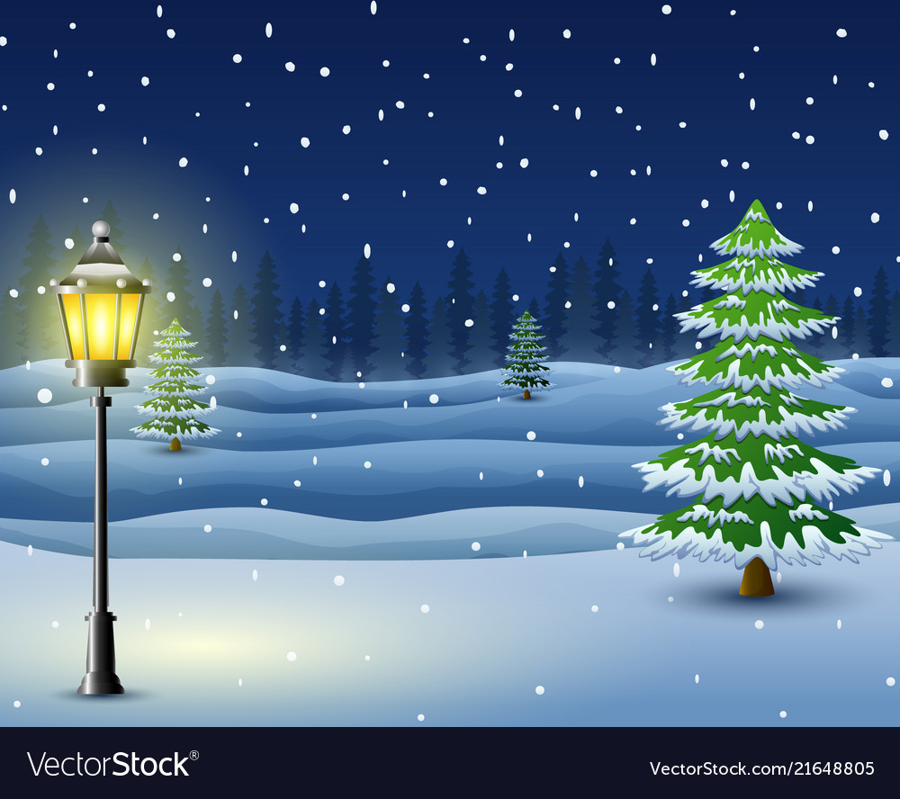 Winternacht Landschaft mit Pinienbäumen