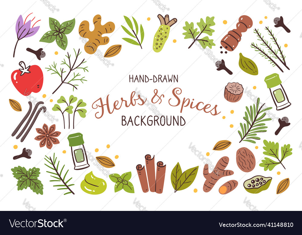 Colorful herbs amp spices background Royalty Free Vector