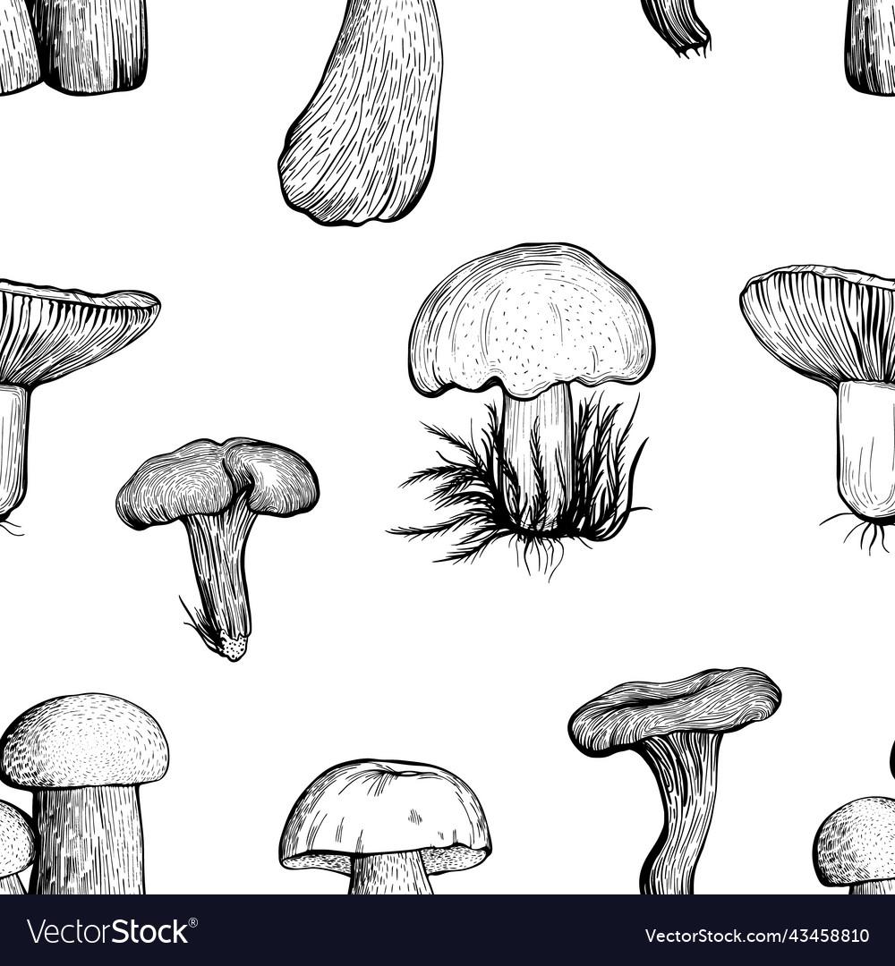 Seamless pattern with assorted mushrooms vector image Seamless pattern with assorted mushrooms