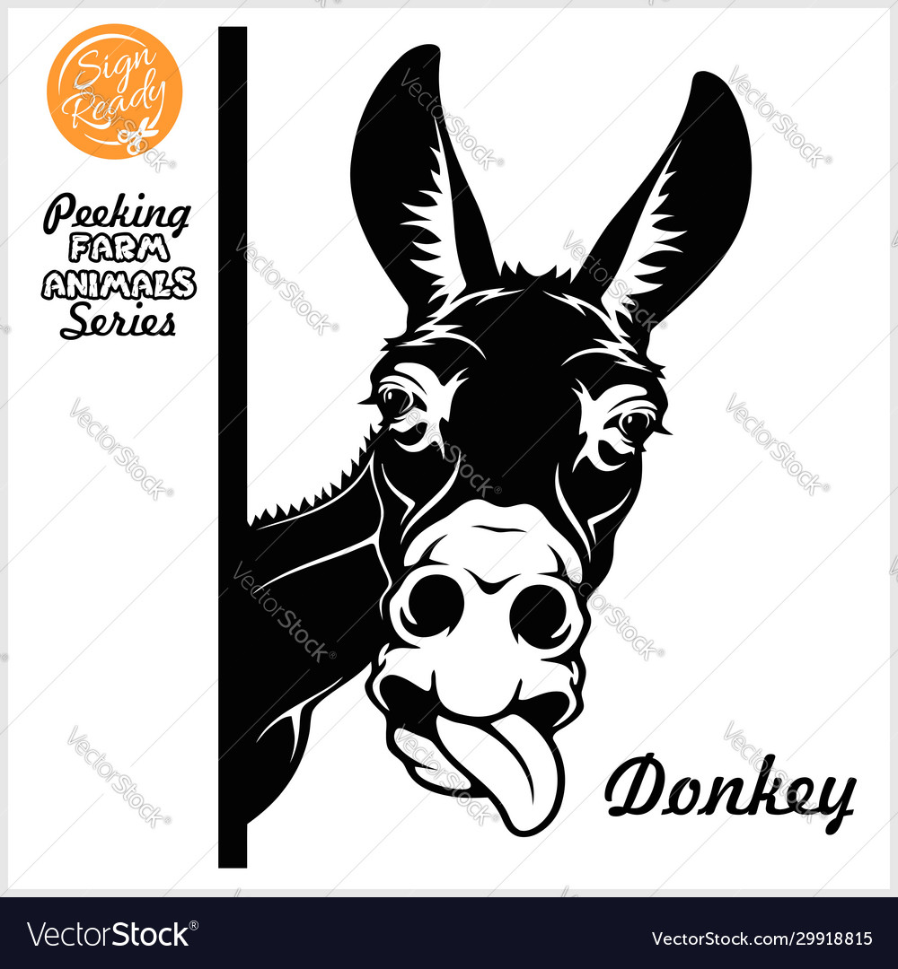 Peeking donkey - stuck out his tongue Royalty Free Vector