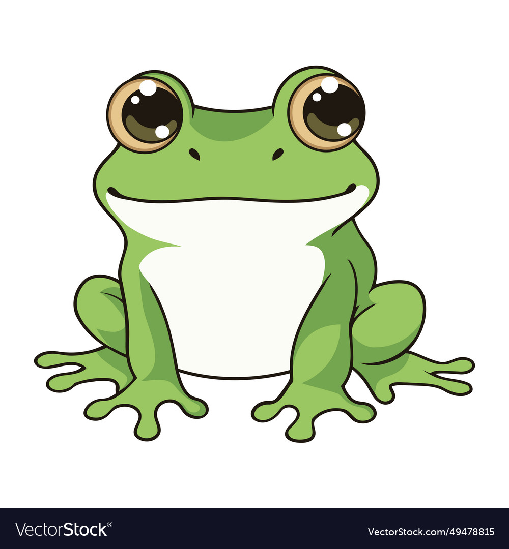 Young frog nature