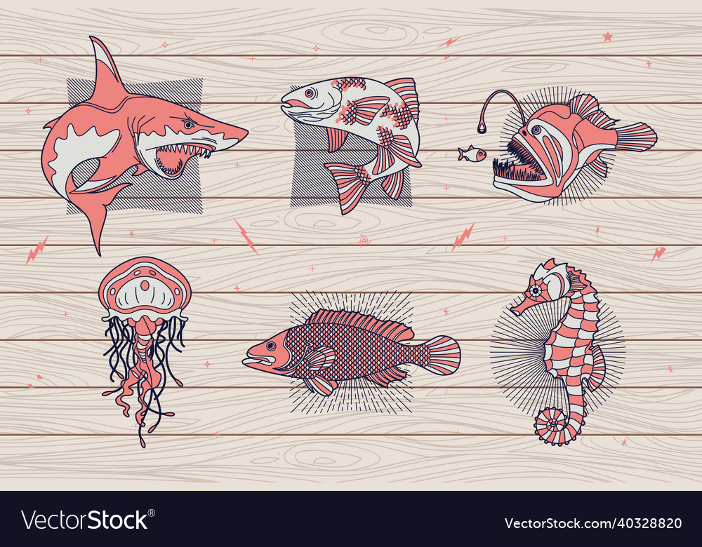 Abstract fish and sea life