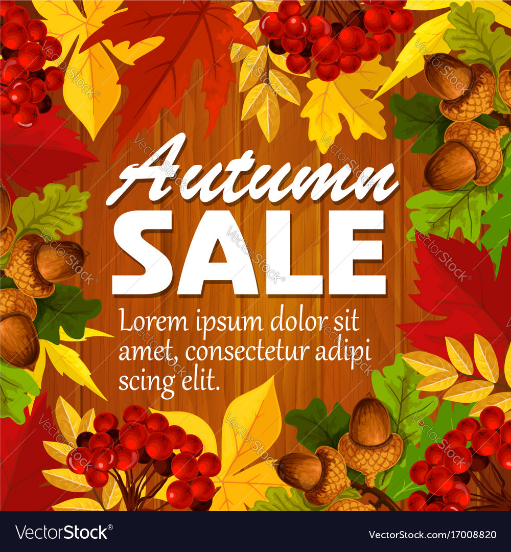 Autumn sale poster leaf rowan berry acorn Vector Image