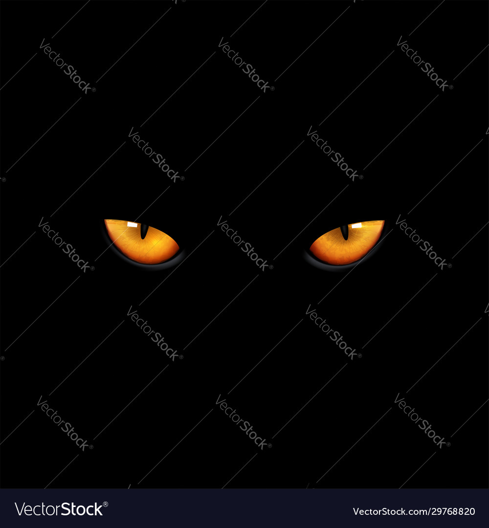 Augen Katze auf schwarzem Hintergrund