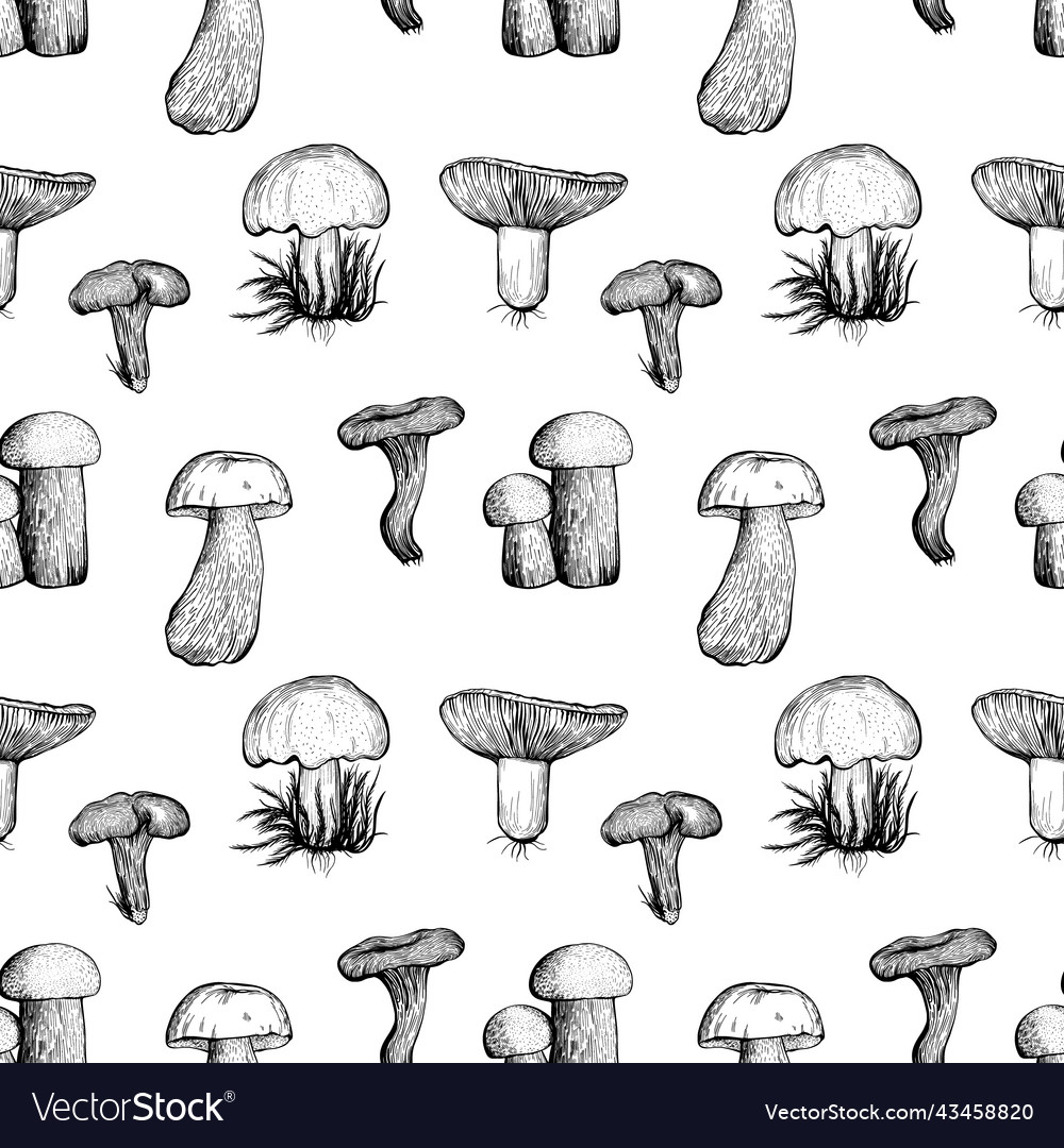 Seamless pattern with assorted mushrooms Vector Image Seamless pattern with assorted mushrooms
