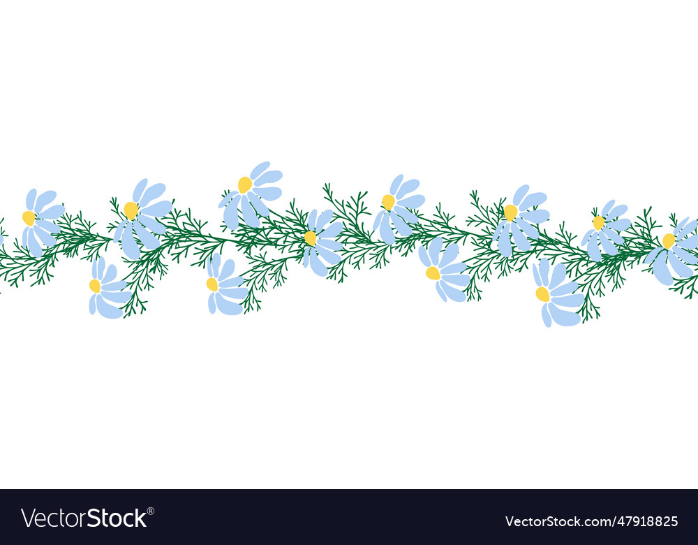 Chamomile horizontal border seamless pattern