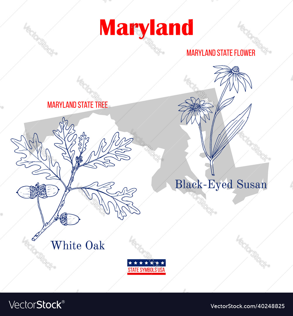 Maryland set of usa official state symbols