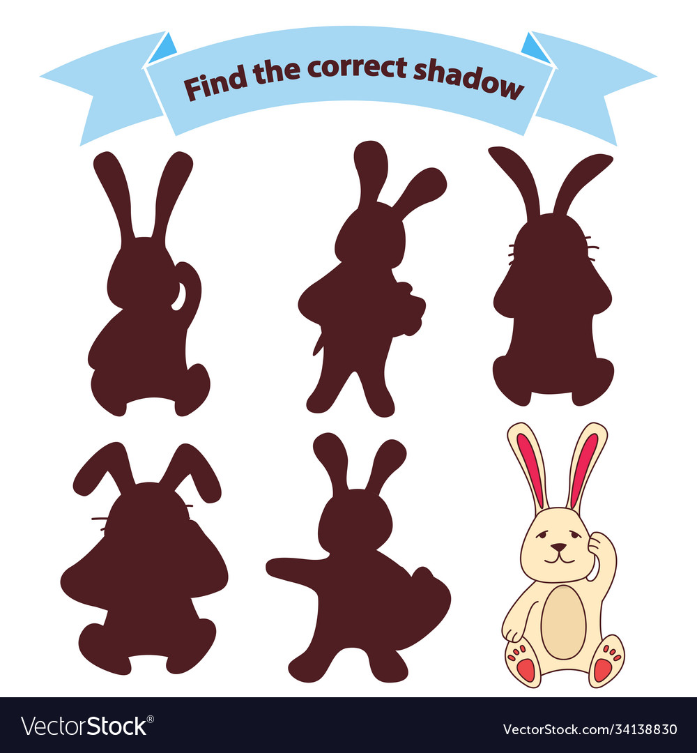 Bunny Shadow Matching Game