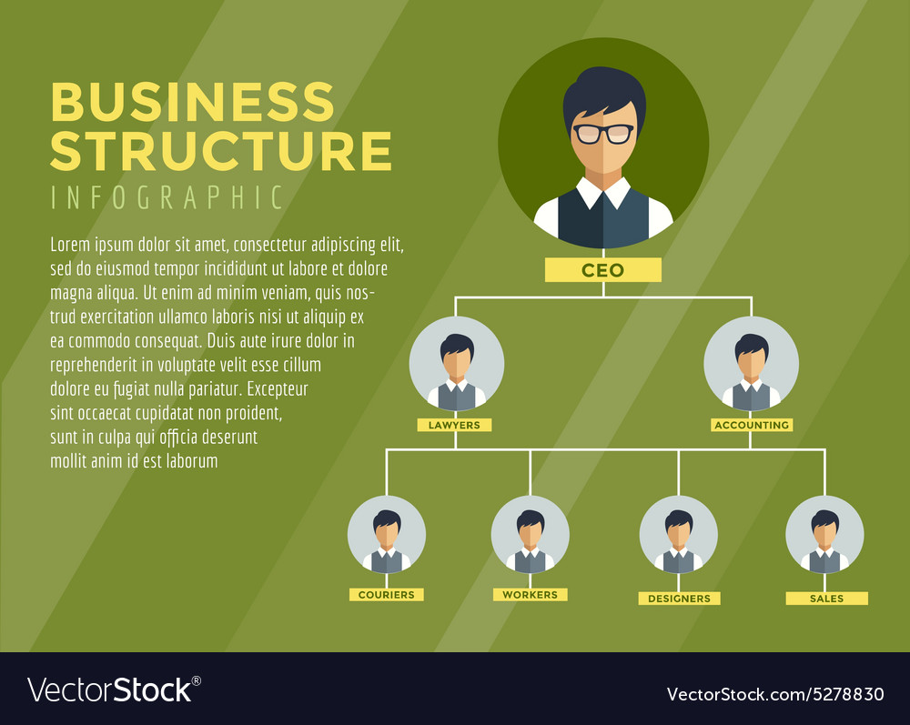 Business structure infographic tree Royalty Free Vector