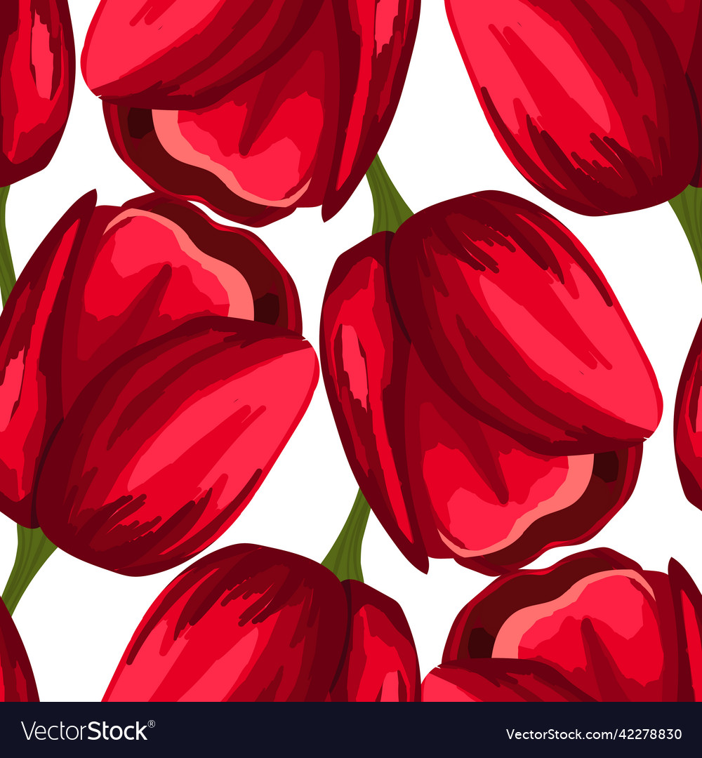Spring colorful with red vector image Spring colorful with red