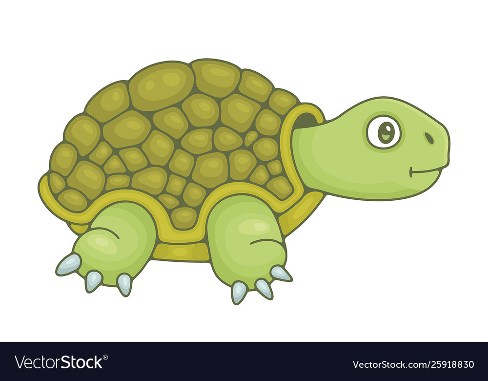 Turtle Royalty Free Vector Image - VectorStock