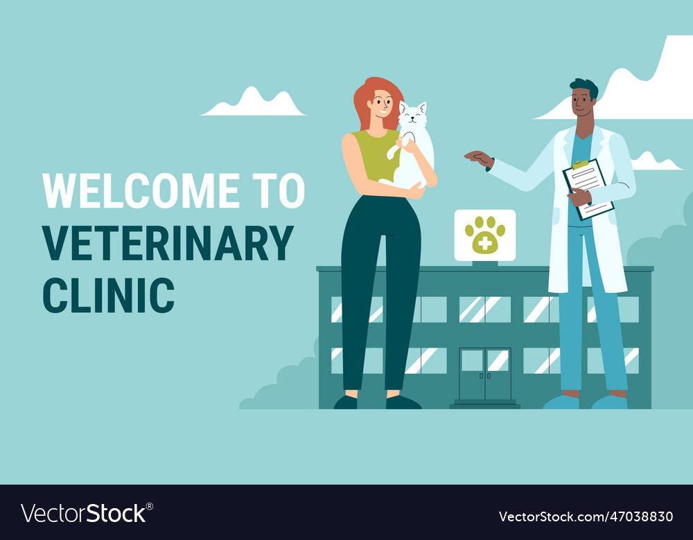 Veterinarian clinic vet