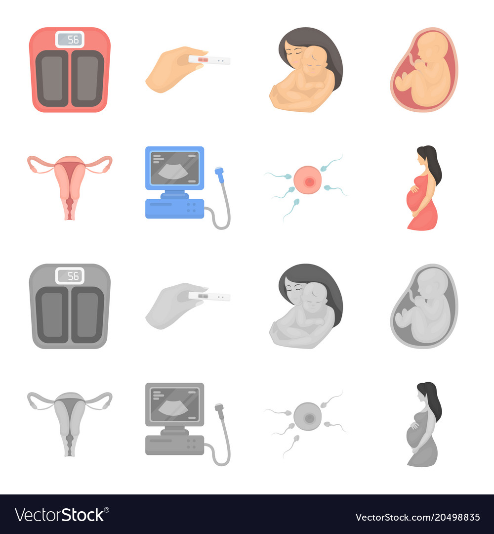 Uterus apparatus of ultrasound fertilization