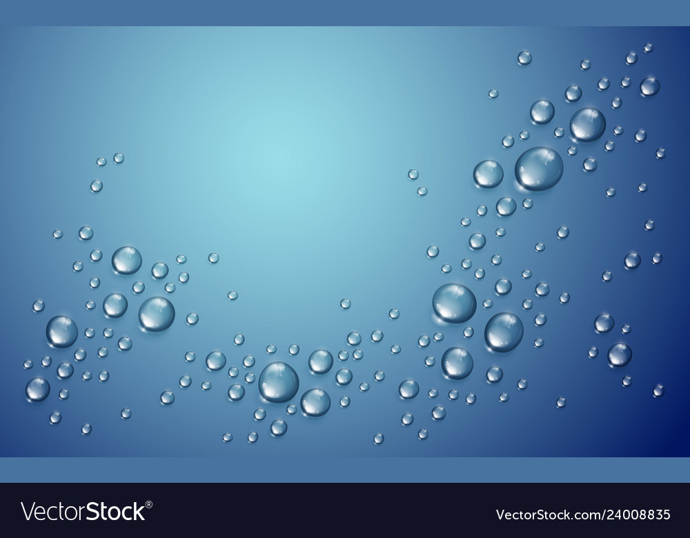 Water drops in shower or pool condensate rain Vector Image