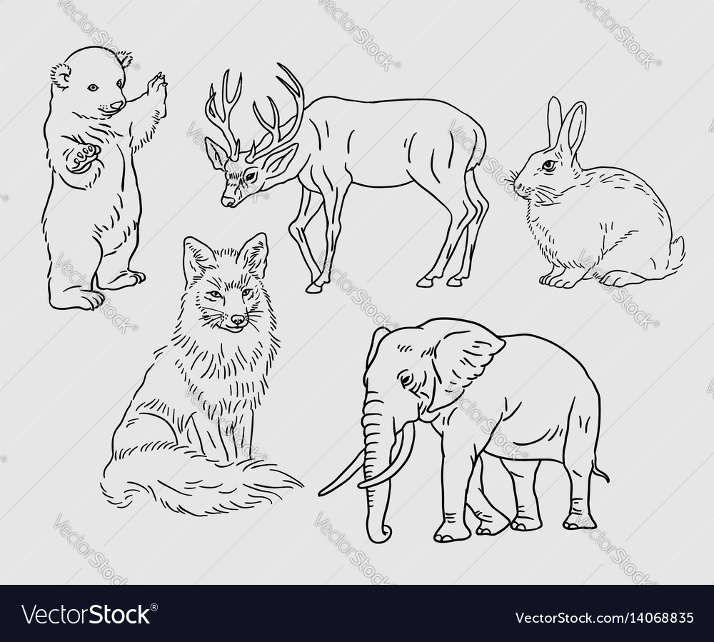 animals - ESL worksheet by piriguin