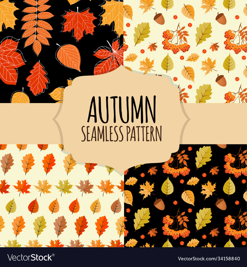 8 seamless pattern collection set background vector image 8 seamless pattern collection set background
