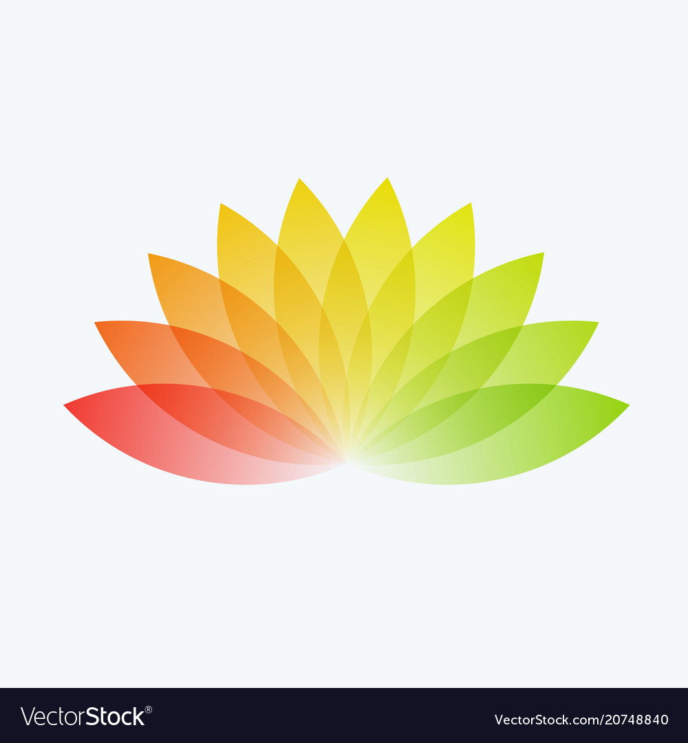 Abstract design colourful elements vector image Abstract design colourful elements