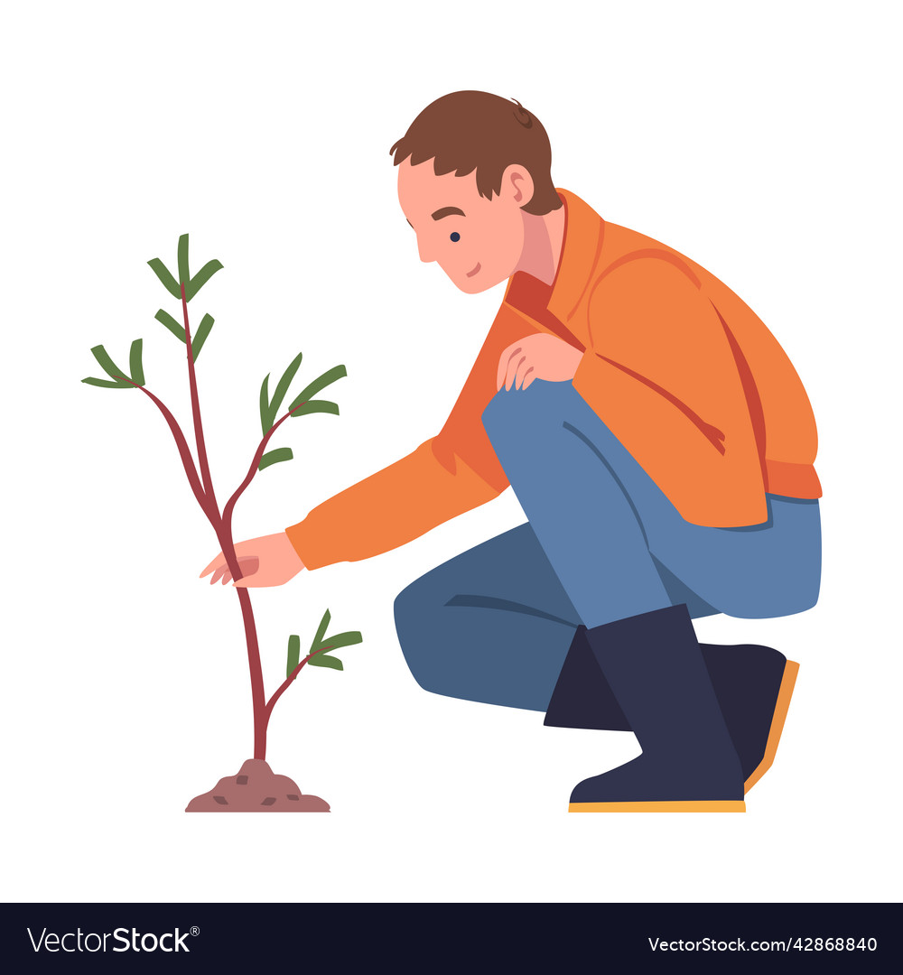 Man character planting tree sapling in soil taking Vector Image Man character planting tree sapling in soil taking