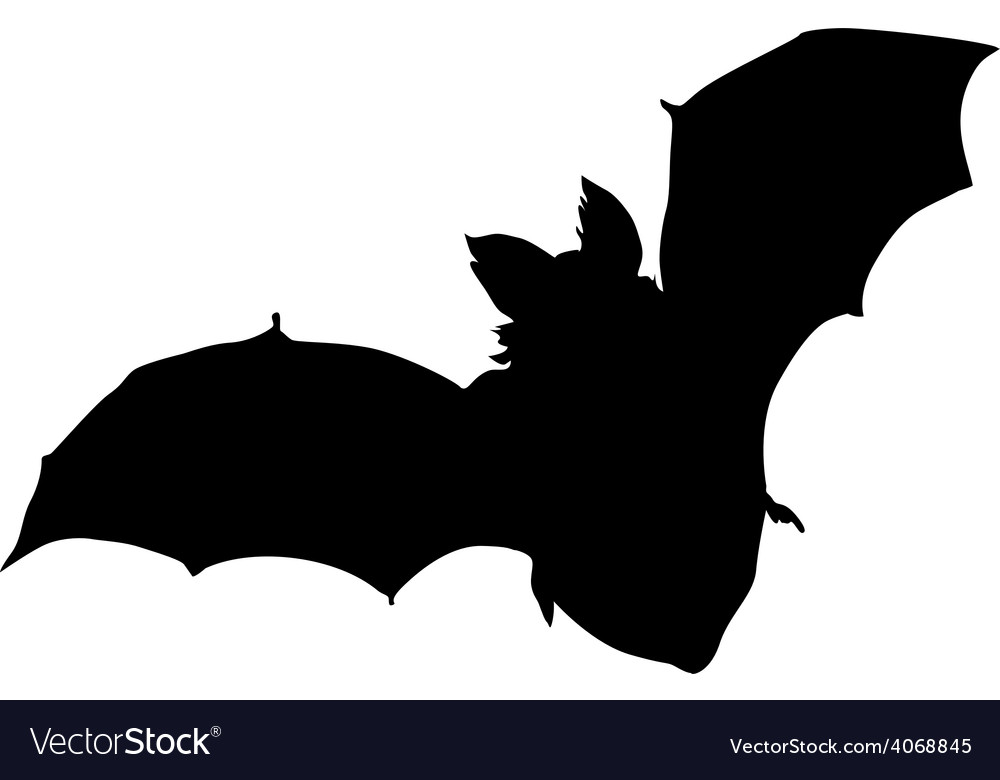 Bat Royalty Free Vector Image - VectorStock