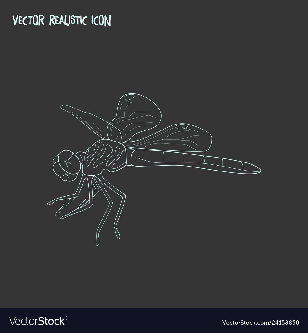 Dragonfly icon line element Vector Image Dragonfly icon line element