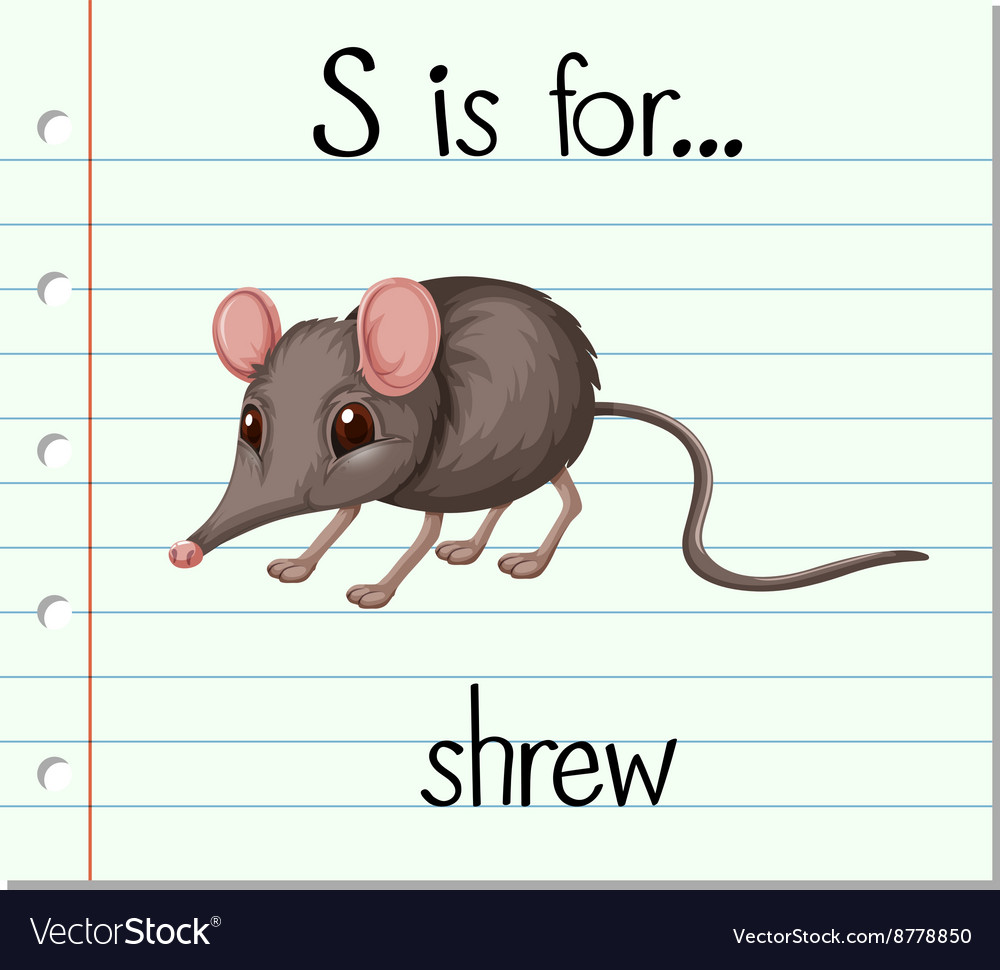 Flashcard Buchstaben s ist für shrew