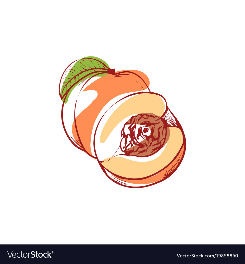 Ripe peach isolated icon