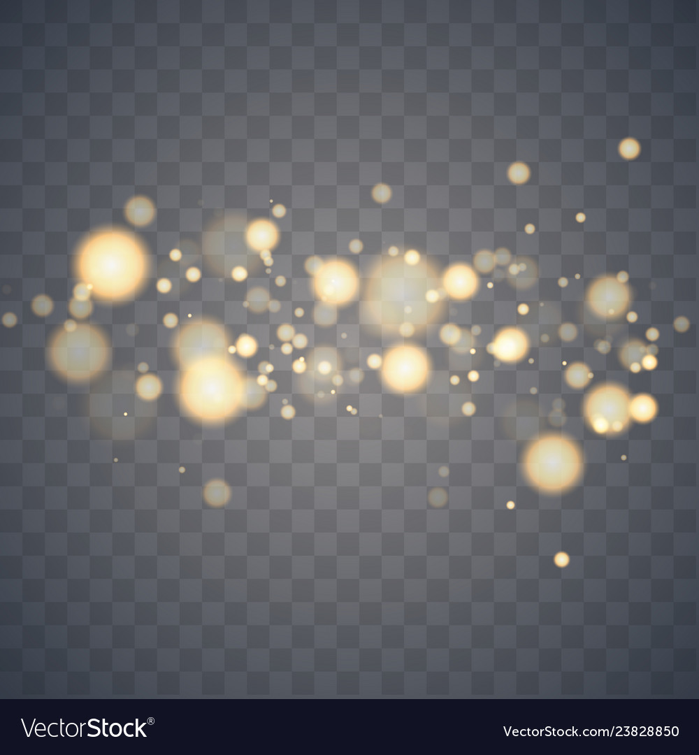 Shining bokeh isolated on transparent background vector image Shining bokeh isolated on transparent background