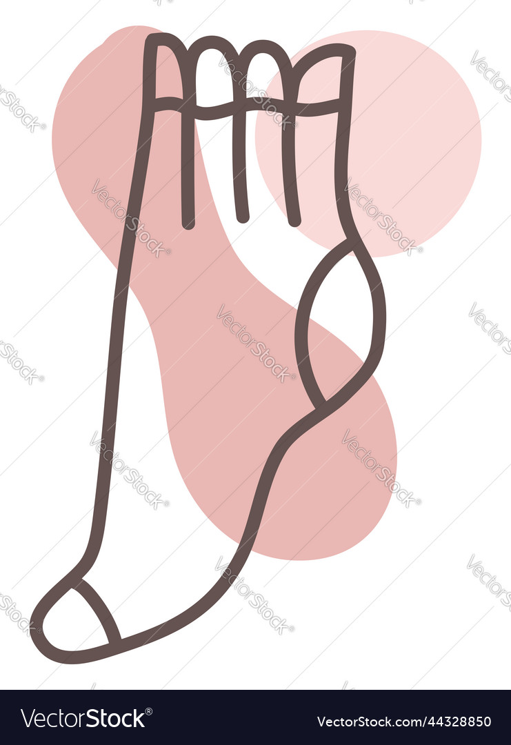 Woman sock on a white background