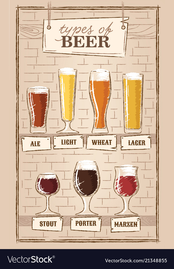 Beer types a visual guide to types of beer Vector Image