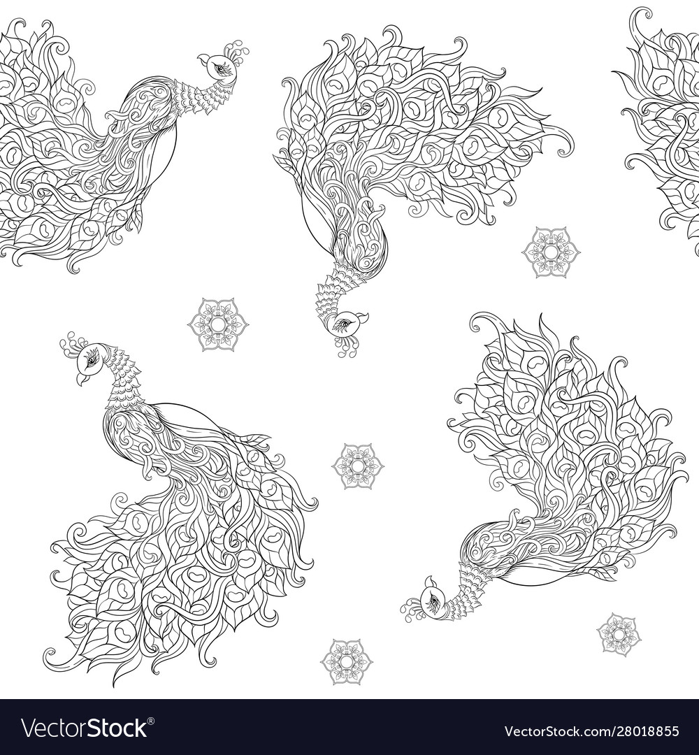 Peacock bird seamless pattern background vector image Peacock bird seamless pattern background