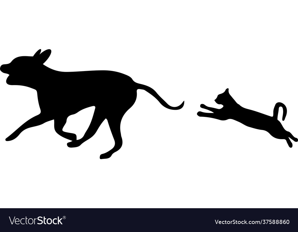 Cat and dog on white background Royalty Free Vector Image