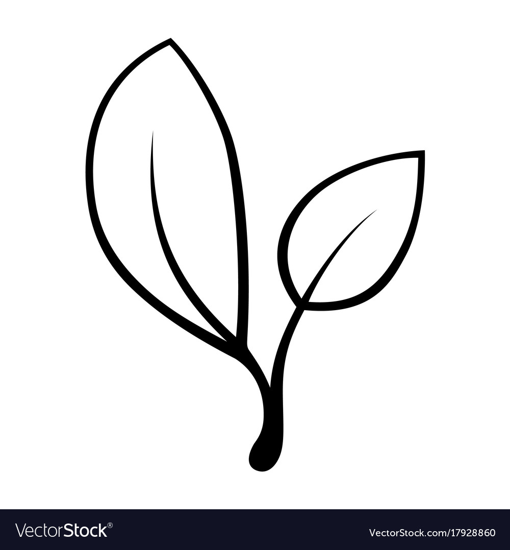 Stylized silhouette of spring tree leaf isolated
