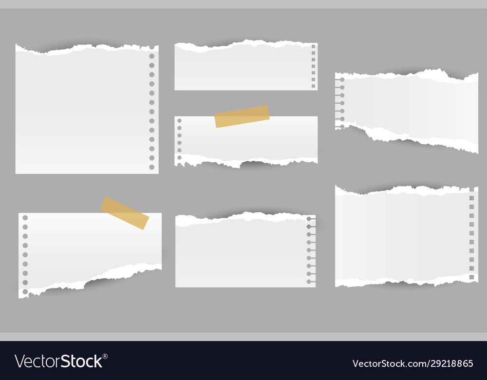 Collection torn ripped paper notes sheets Vector Image