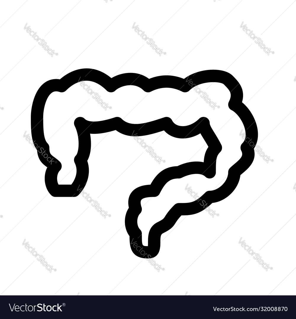 Intestines organ line icon intestine symbol Vector Image