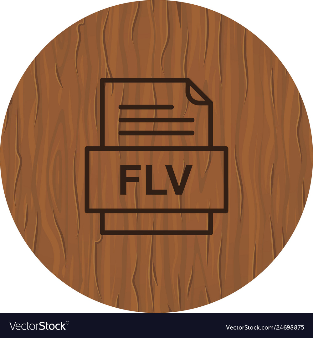 Flv file document icon