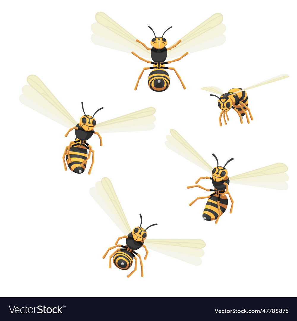 Set of attacking wasps