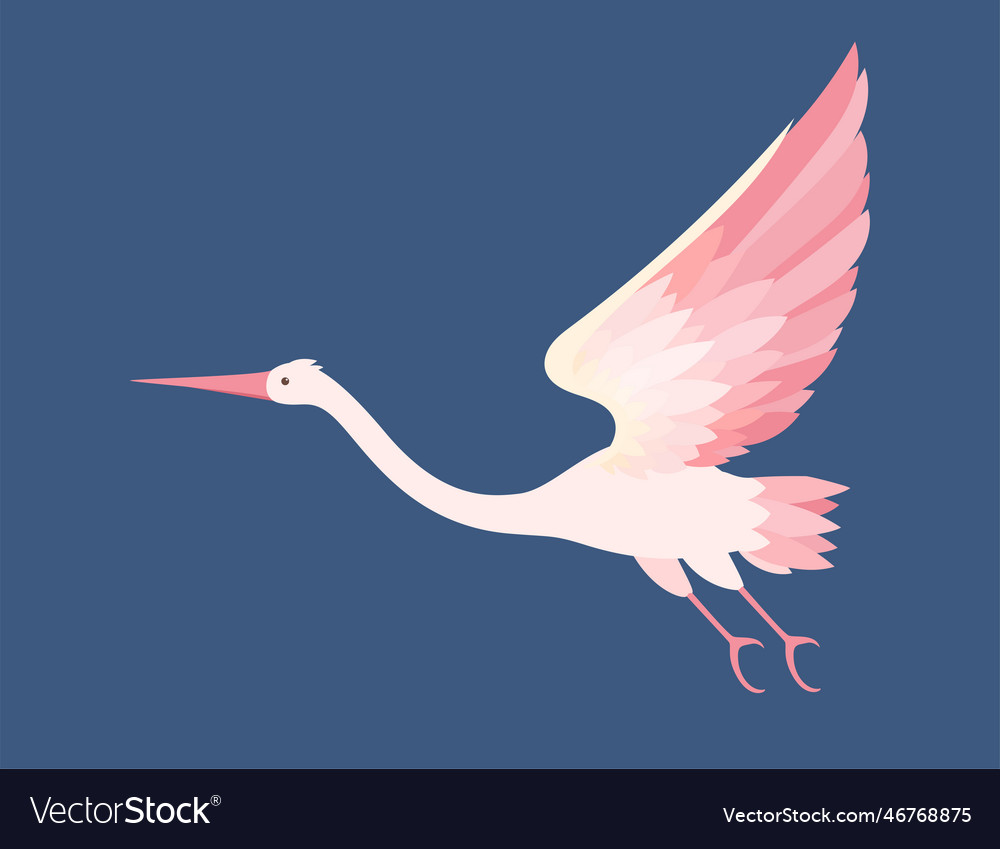 Stork flying in sky