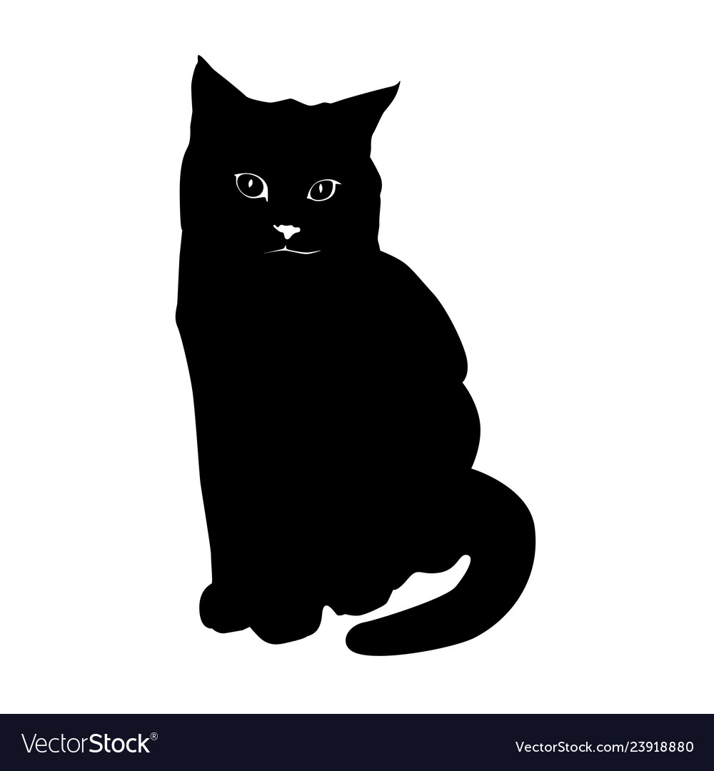 Cat black silhouette on white