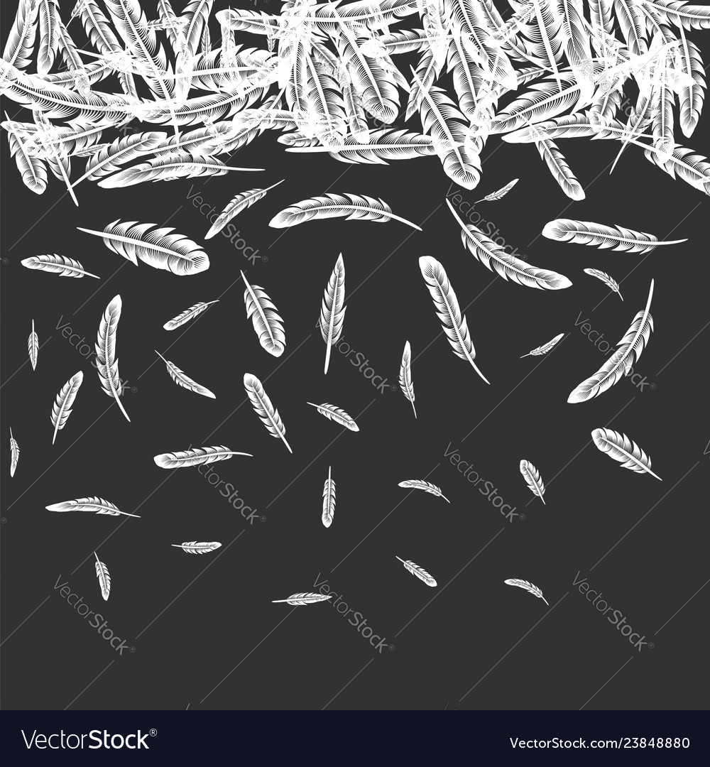Elegant Feather Pattern