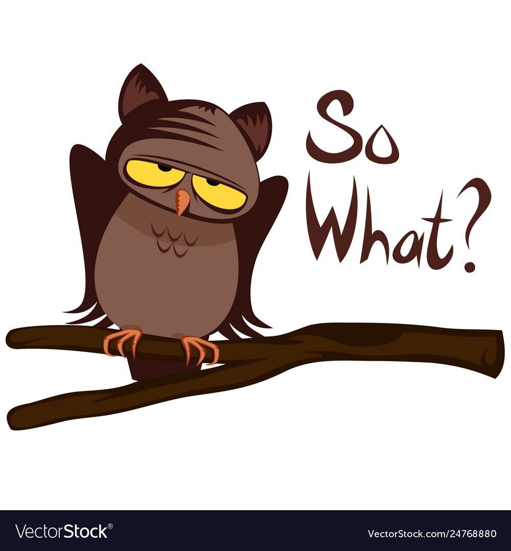 Funny owl