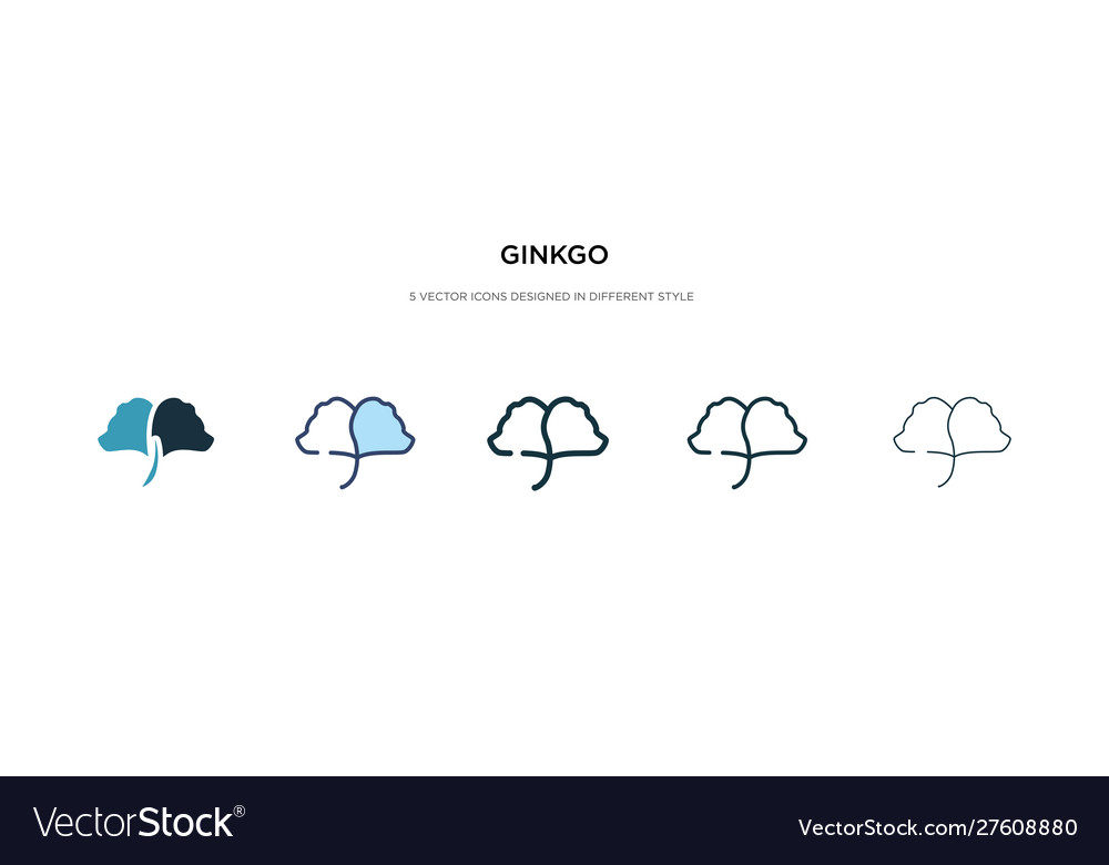 Ginkgo icon in different style two colored vector image Ginkgo icon in different style two colored