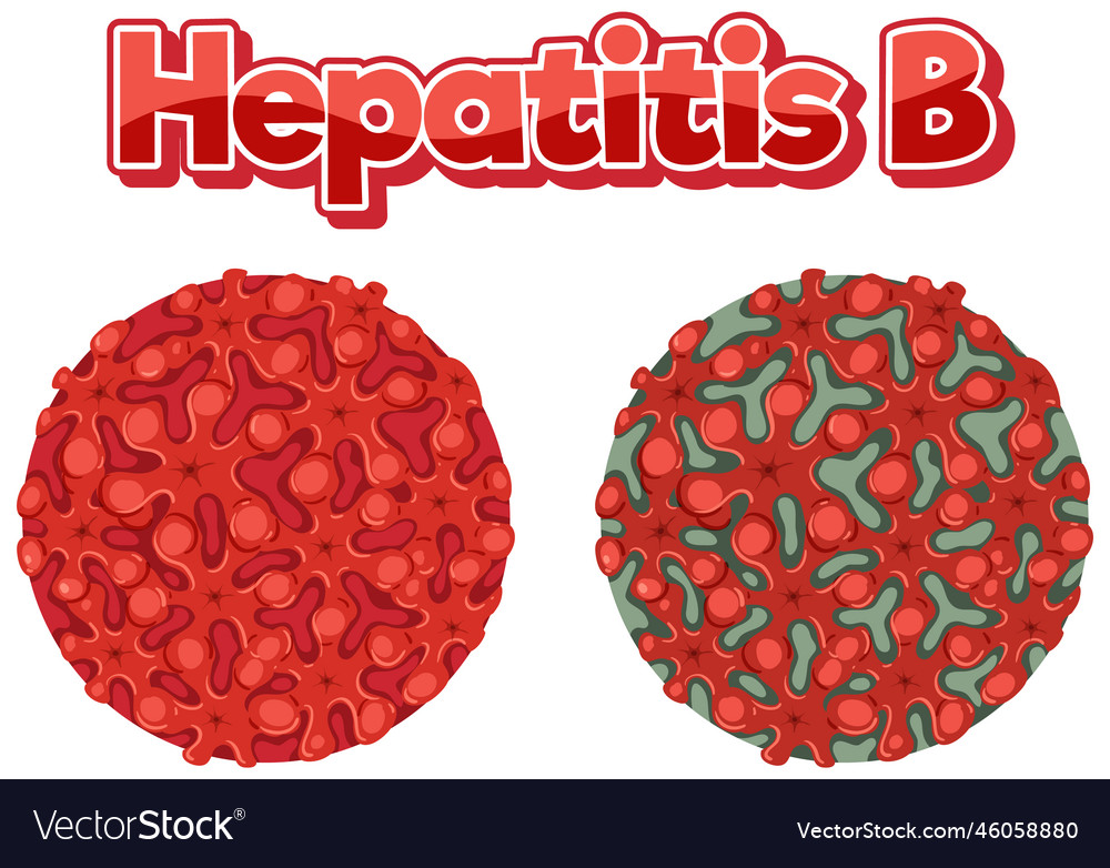 Hepatitis b virus hbv on white background Vector Image