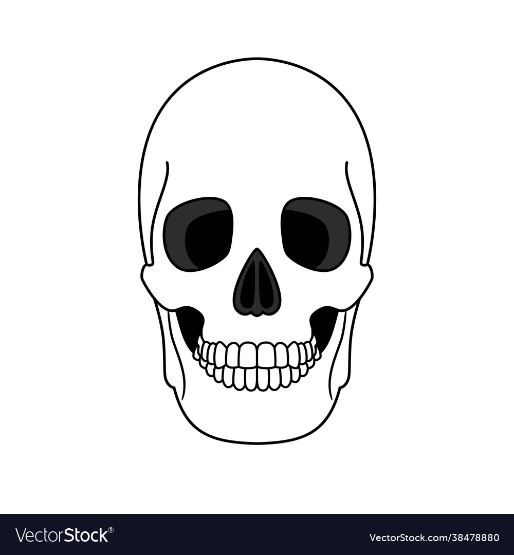 Skull Outline Decoration