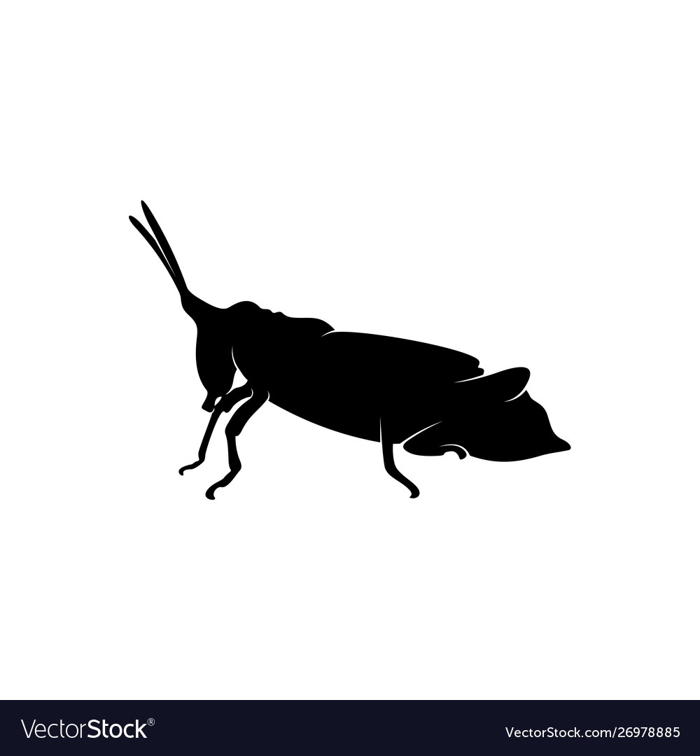 Grasshopper logo design