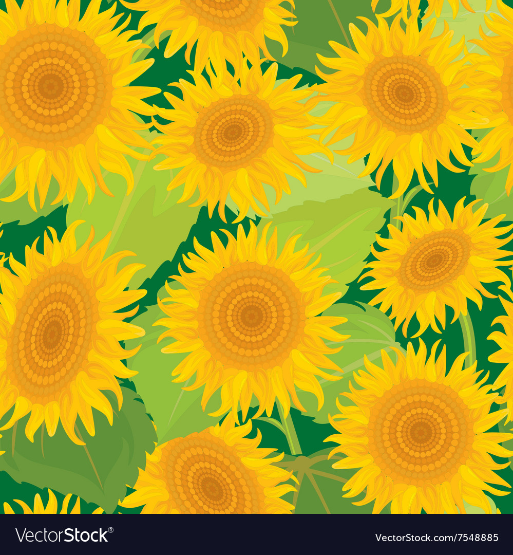 Sunflowers seamless 380