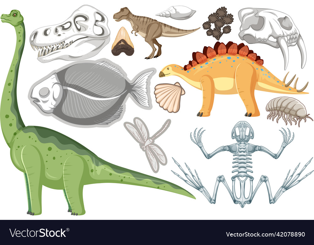 A set of dinosaur and fossil